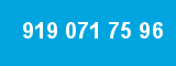 919 071 75 96